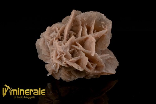 MN2567-1_minerali_collezione_arredamanto_slfati_rosa_del_deserto