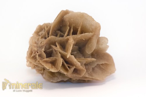 MN2567-2_minerali_collezione_arredamanto_slfati_rosa_del_deserto