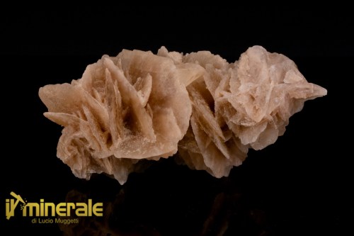 MN2568-1_minerali_collezione_arredamanto_slfati_rosa_del_deserto