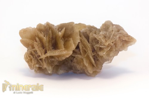 MN2568-2_minerali_collezione_arredamanto_slfati_rosa_del_deserto