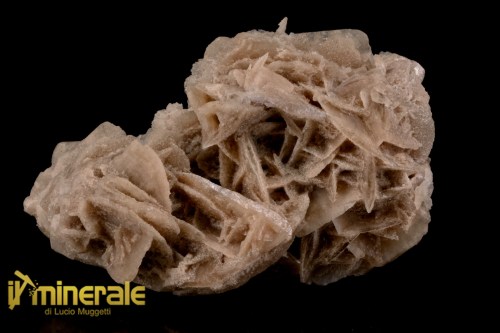 MN2569-1_minerali_collezione_arredamanto_slfati_rosa_del_deserto