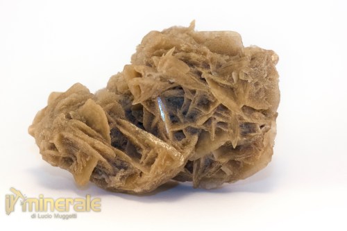 MN2569-2_minerali_collezione_arredamanto_slfati_rosa_del_deserto