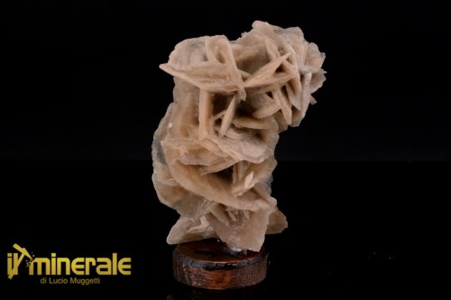 MN2570-1_minerali_collezione_arredamanto_slfati_rosa_del_deserto