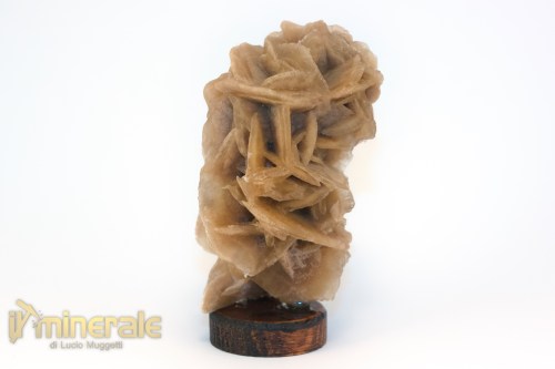 MN2570-2_minerali_collezione_arredamanto_slfati_rosa_del_deserto