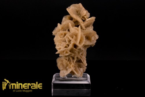 MN2571-1_minerali_collezione_arredamanto_slfati_rosa_del_deserto