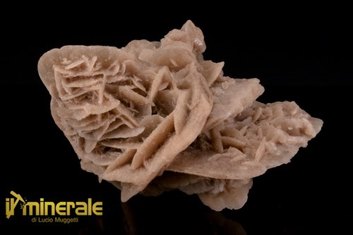 MN2572-1_minerali_collezione_arredamanto_slfati_rosa_del_deserto