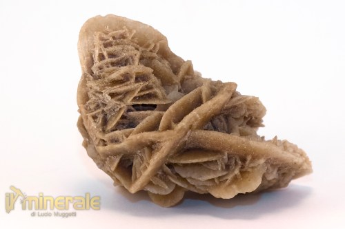 MN2572-2_minerali_collezione_arredamanto_slfati_rosa_del_deserto