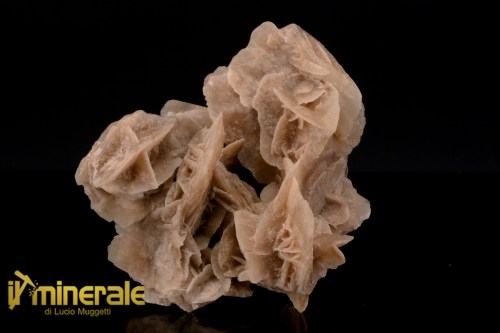 MN2573-1_minerali_collezione_arredamanto_slfati_rosa_del_deserto