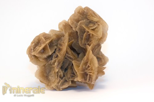 MN2573-2_minerali_collezione_arredamanto_slfati_rosa_del_deserto