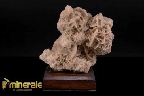 MN2574-1_minerali_collezione_arredamanto_slfati_rosa_del_deserto