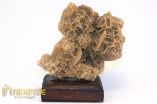 MN2574-2_minerali_collezione_arredamanto_slfati_rosa_del_deserto