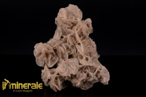 MN2575-1_minerali_collezione_arredamanto_slfati_rosa_del_deserto