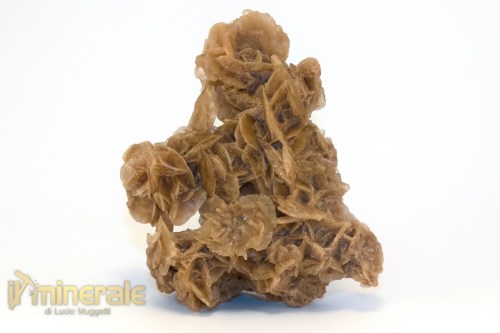 MN2575-2_minerali_collezione_arredamanto_slfati_rosa_del_deserto