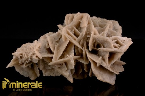 MN2576-1_minerali_collezione_arredamanto_slfati_rosa_del_deserto