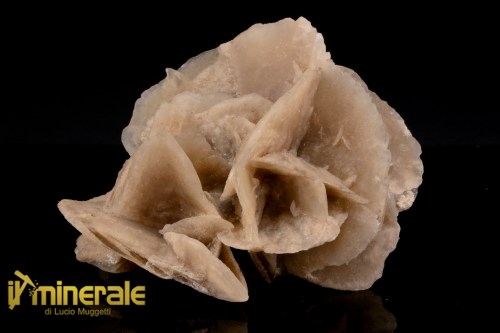 MN2577-1_minerali_collezione_arredamanto_slfati_rosa_del_deserto