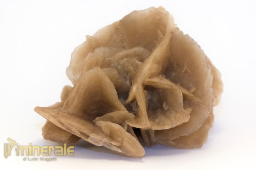 MN2577-2_minerali_collezione_arredamanto_slfati_rosa_del_deserto