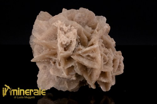 MN2578-1_minerali_collezione_arredamanto_slfati_rosa_del_deserto