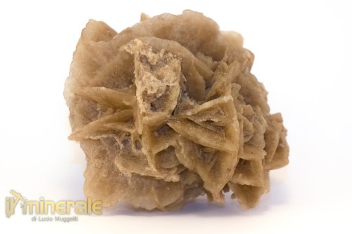 MN2578-2_minerali_collezione_arredamanto_slfati_rosa_del_deserto