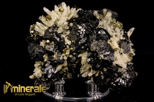 MN2582-1_minerali_collezione_blenda_sfalerite_quarzo_arsenopirite_trepka_kosovo