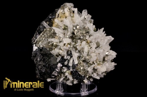 MN2583-1_minerali_collezione_blenda_sfalerite_quarzo_arsenopirite_trepka_kosovo