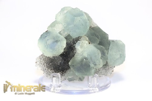 MN2589-2_minerali_collezione_fluorite_quarzo_cina