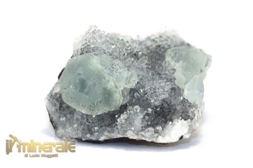 MN2595-2_minerali_collezione_fluorite_quarzo_cina