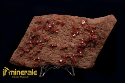 MN328-1_minerali_collezione_vanadinite_marocco.logo