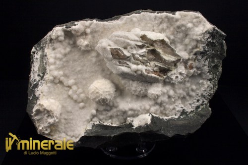 MN719-1_minerali_collezione_prehnite_quarzo_india.logo