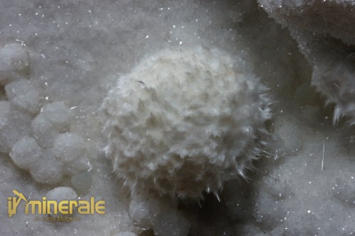 MN719-3_minerali_collezione_okenite_prehnite_india.logo