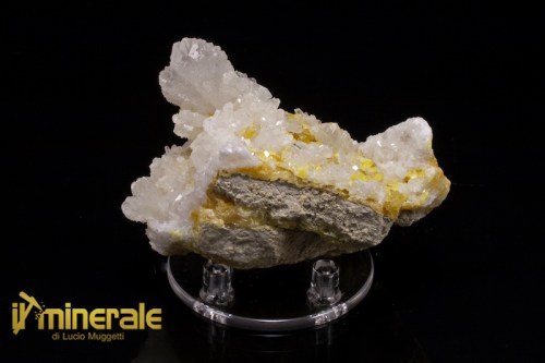 MN831-1_minerali_collezione_elementi_nativi_zolfo_aragonite_sicilia.logo
