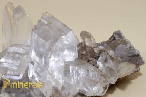 MN855-4_minerali_collezione_gesso_messico.logo