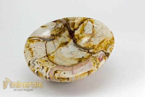 OG677-2_oggetti_lavorati_arredamento_pietre_dure_ciotola_legno_fossile_silicizzato.logo