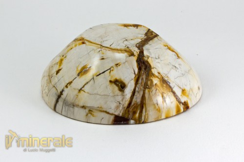 OG677-3_oggetti_lavorati_arredamento_pietre_dure_ciotola_legno_fossile_silicizzato.logo