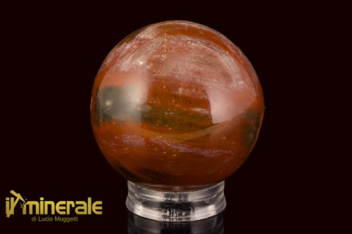 OG717-1_minerali_oggetti_lavorati_collezione_arredamento_cristalloterapia_pietre_dure_sfera_legno_fossile_silicizzato
