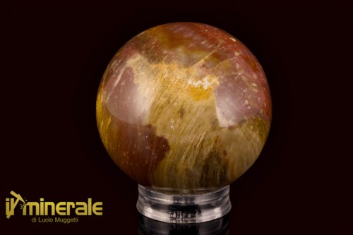 OG718-1_minerali_oggetti_lavorati_collezione_arredamento_cristalloterapia_pietre_dure_sfera_legno_fossile_silicizzato