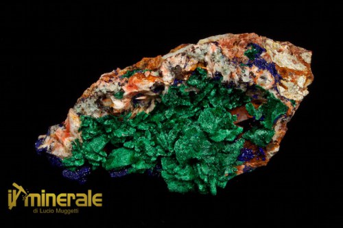 mn536-1_minerali_collezione_azzurrite_malachite_marocco.logo