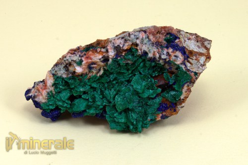 mn536-2_minerali_collezione_azzurrite_malachite_marocco.logo