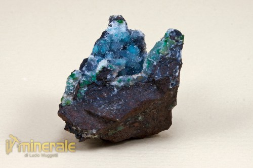 mn621-2_minerali_collezione_quarzo_crisocolla_messico.logo